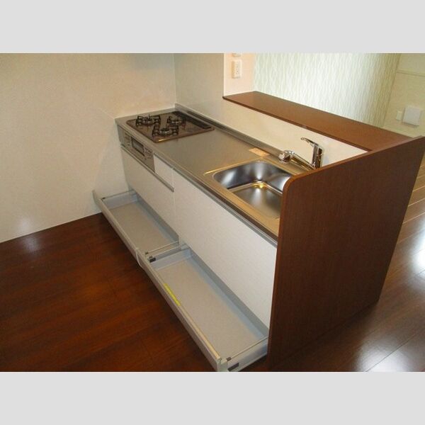 ハーモニックコート羽鳥野　B306号室 システムキッチン