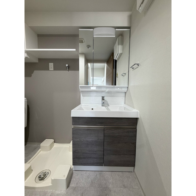 プレール・ドゥーク亀戸小村井101号室 洗面化粧台