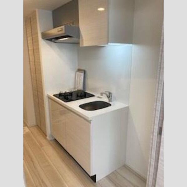 S-RESIDENCE新御徒町East602号室 トイレ