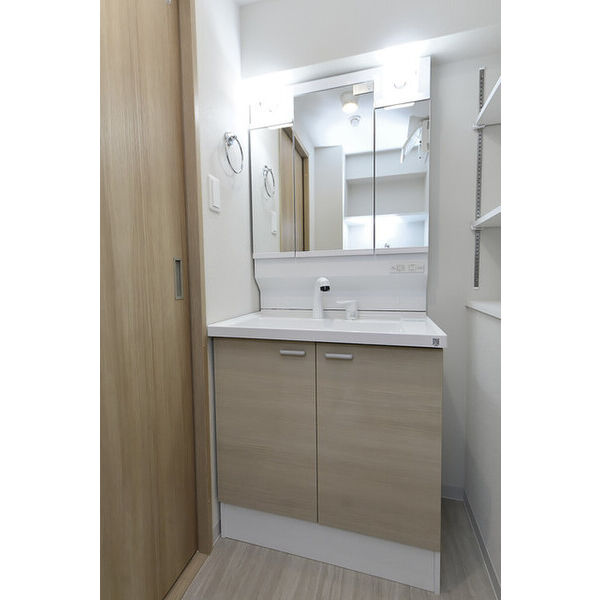 クリオ　ラモード学芸大学Ⅱ0101号室 洗面