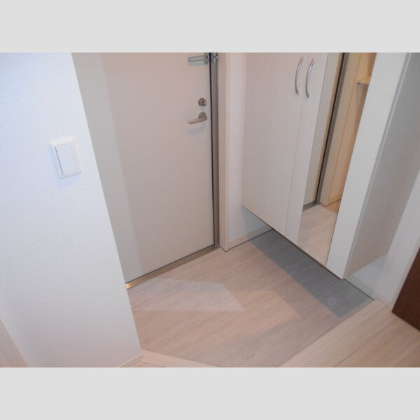 ロイジェントパークス草加手代　C203号室 玄関
