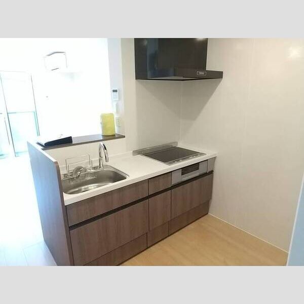 Excellent国立 システムキッチン