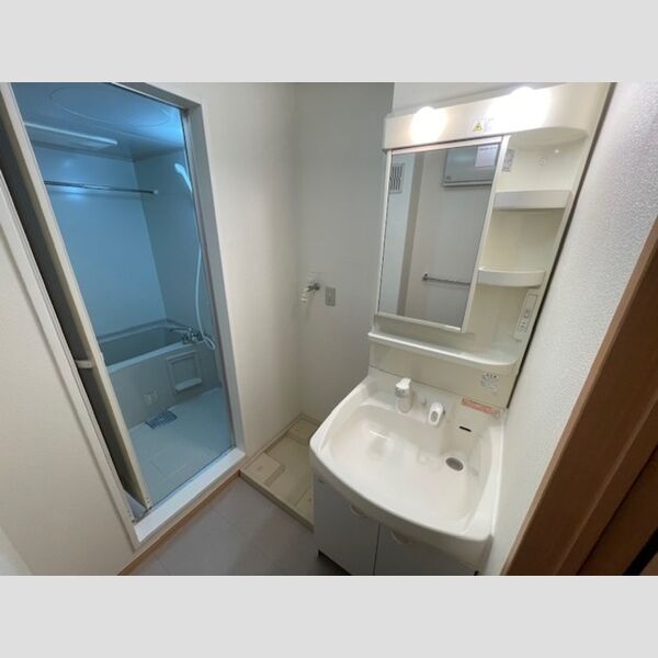 ボナンザ・ヒル201号室 洗髪洗面化粧台