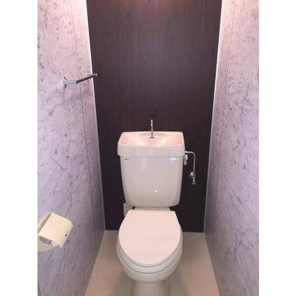 ダンデライアン鵠沼0107号室 トイレ