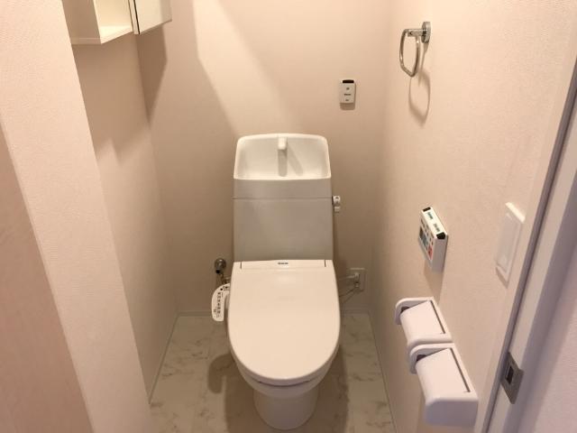 メゾンアイリス202号室 トイレ