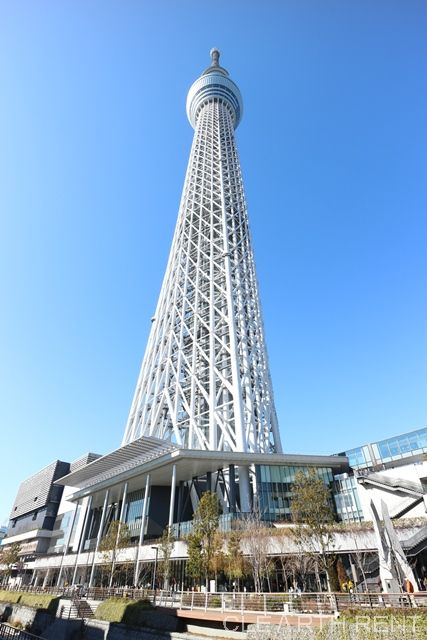 アルファコート曳舟 【その他】東京スカイツリー(R)まで2013ｍ