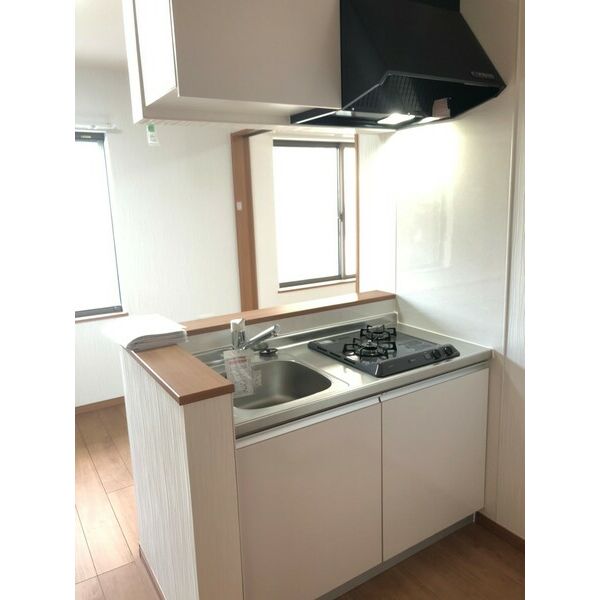 Ambition風渡野103号室 キッチン
