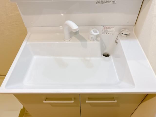 ル・ドージュ1階 洗面