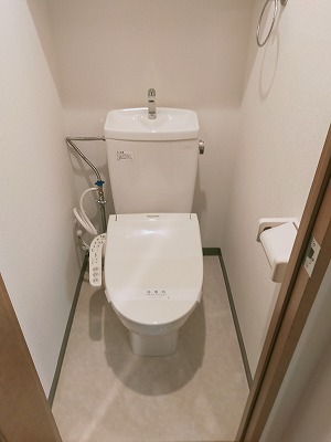 ステージグランデ南麻布8階 トイレ