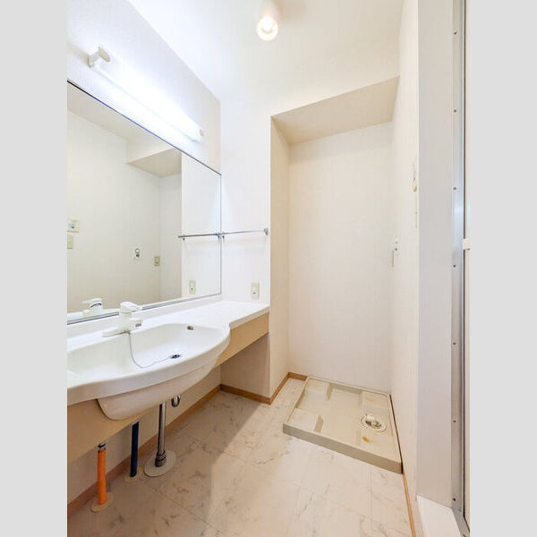 ルインズ・イン・マルヤマ　ABCDEFB102号室 洗面所