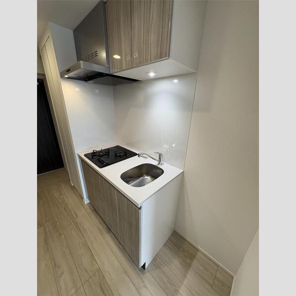 MAXIV横浜吉野町TRE102号室 キッチン