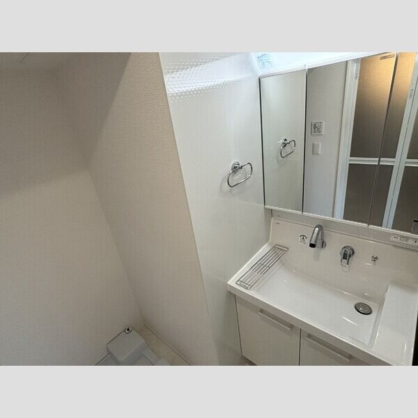 D Paina 桜ヶ丘301号室 洗髪洗面化粧台