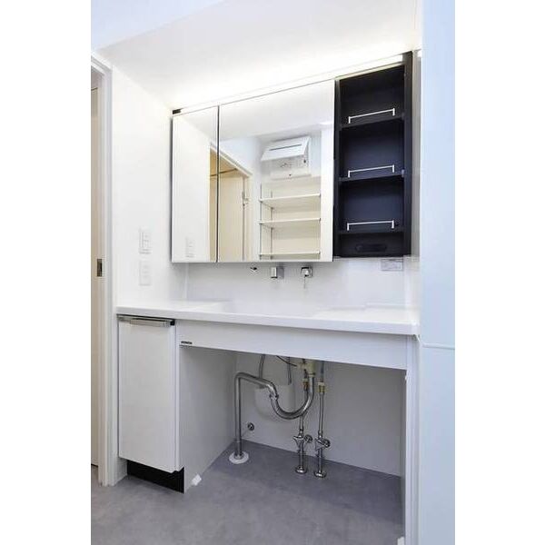 パークルール大手町0902号室 洗面