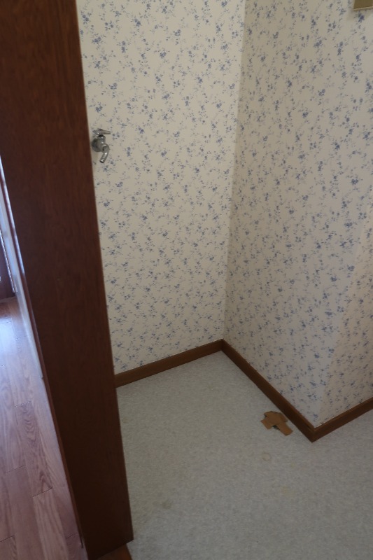 メゾンボヌール 洗面