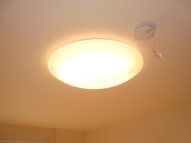 Ｍ’ｓ　Ｐａｌａｃｉｏｎ301号室 照明器具