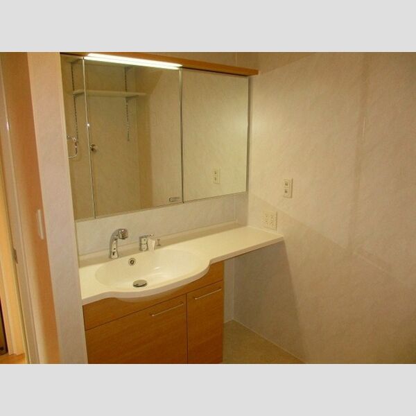 セリナ木更津　A 洗髪洗面化粧台(三面鏡裏に収納あります)