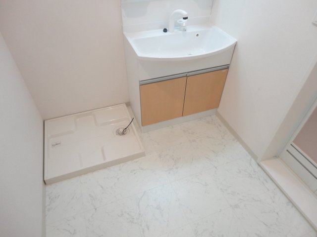 ｆｅｌｉｃｅ（フェリーチェ）202号室 室内洗濯機置場・洗面台