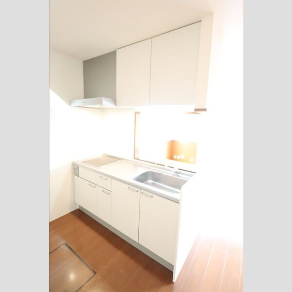 セタンドール緑町101号室 対面システムキッチン