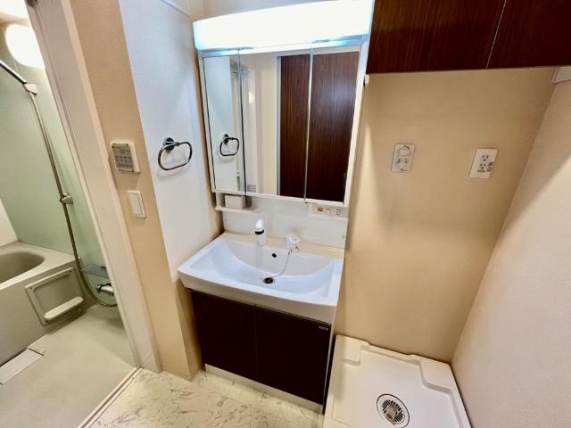 カーロ　オルテンシア　caroortensia201号室 洗髪洗面化粧台（イメージ）