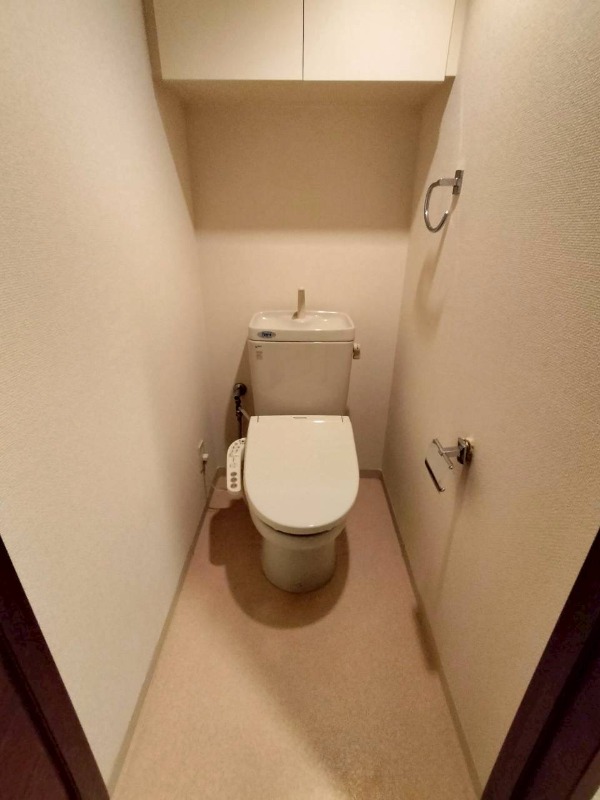 レーベンハイム川越ルミアージュ トイレ