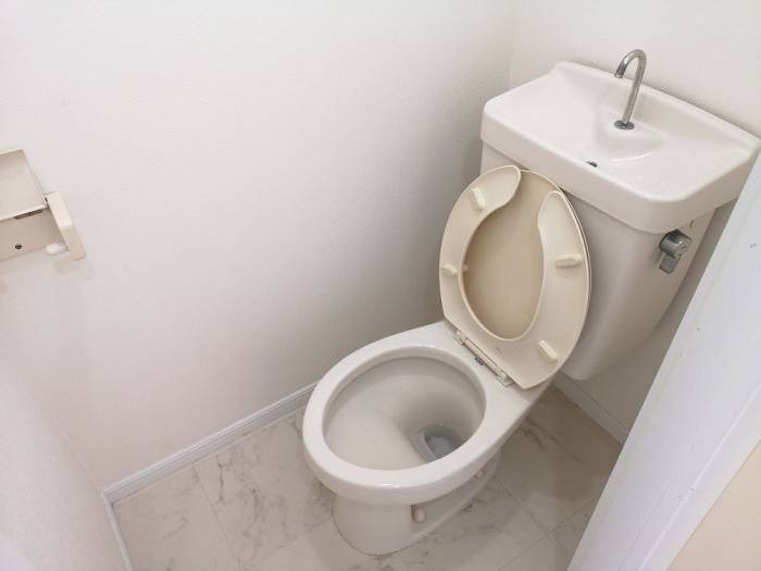 アゼリア宮田(K-076)1階 トイレ