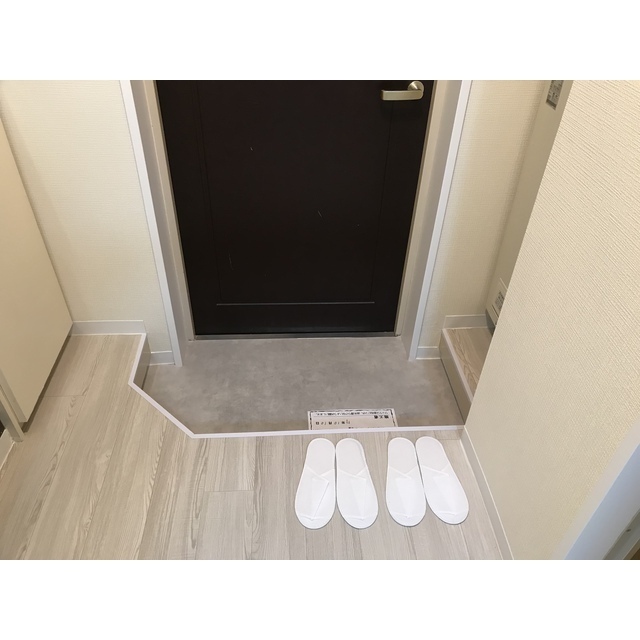 ドリームスペースマンションB-04号室 玄関