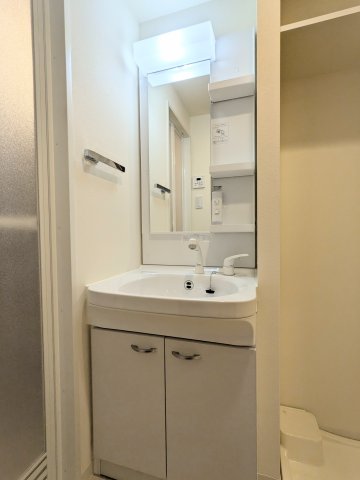 ティーステージジェイアール浜川崎0217号室 洗面