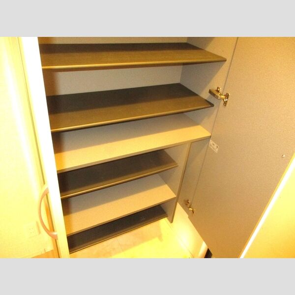 ラ・リアン　C・D　C棟301号室 シューズボックス