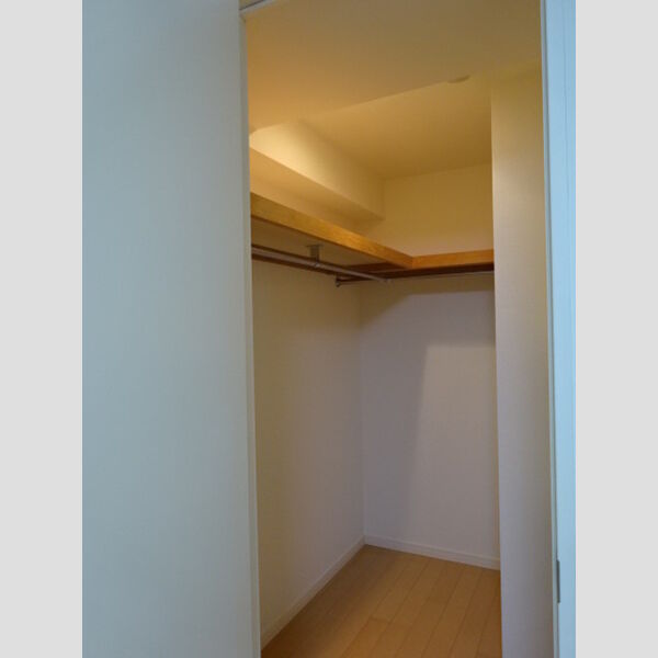 カスタリアお茶の水0201号室 居室のウォークインクローゼット