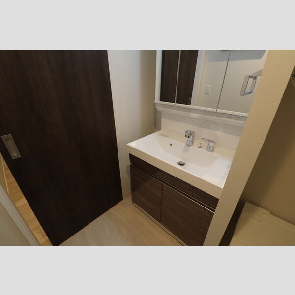 D-residence所沢306号室 洗髪洗面化粧台