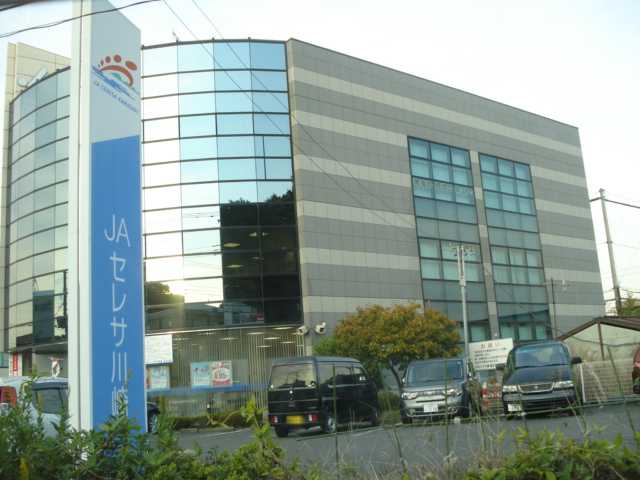プラム JAセレサ川崎橘支店まで516ｍ