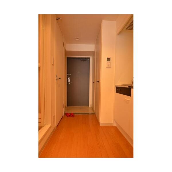 Urban　Link蒲田402号室 玄関