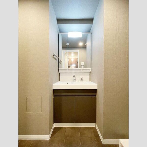 S-RESIDENCE板橋大山brim802号室 洗面