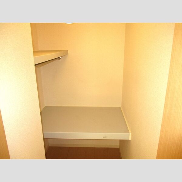 ラ・レアール・パス103号室 ウォークインクローゼット