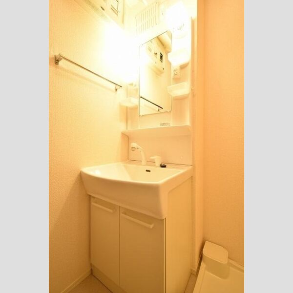 ロイヤルレジデンス本厚木 洗髪洗面化粧台