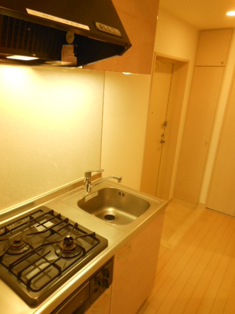 ガラ・ステージ高円寺 キッチン