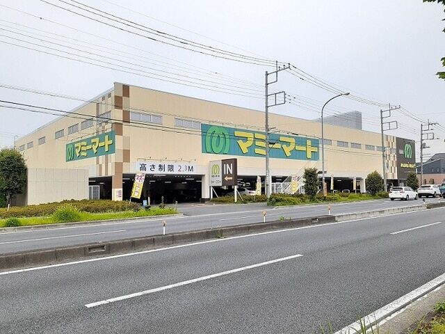 ルナソーレ2階 マミーマート南中野店