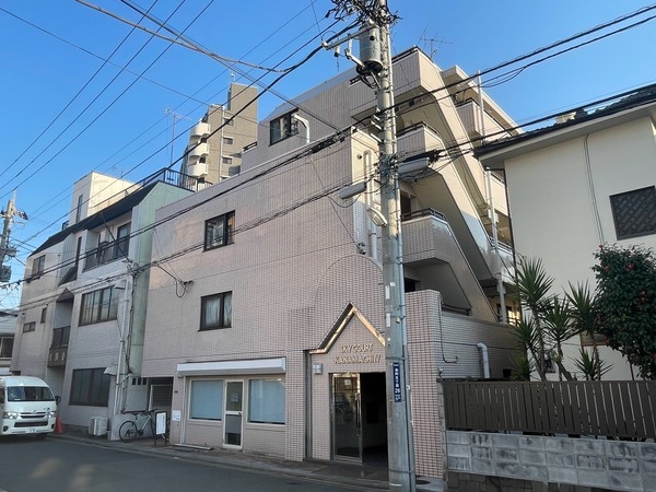 スカイコート金町第4502号室 外観