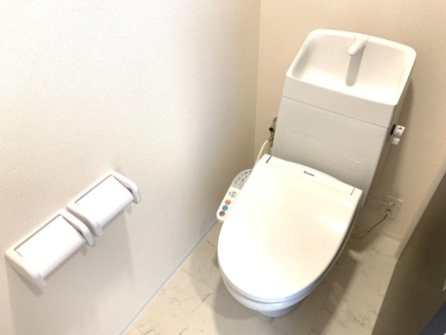 セラヴィ201号室 シャワー付トイレ（イメージ）