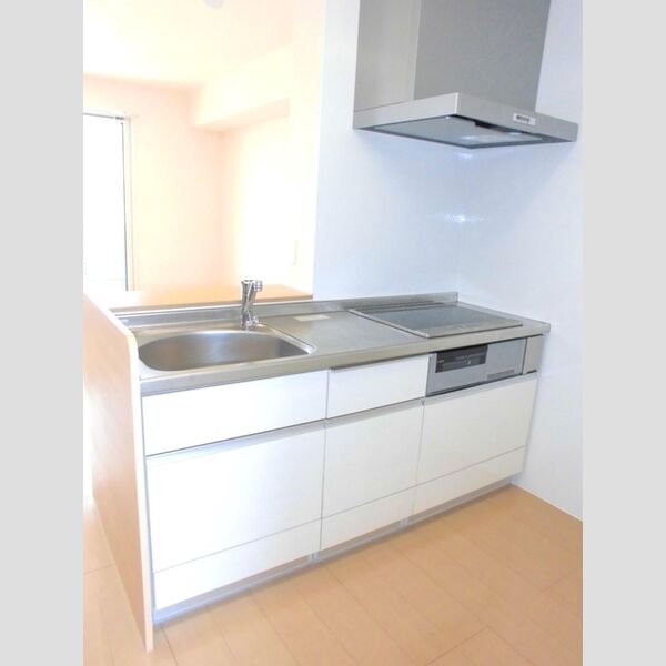 グレイス・フォレ　Ⅰ203号室 システムキッチン