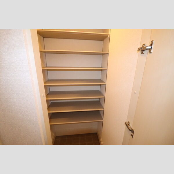 レディア301号室 シューズクローク
