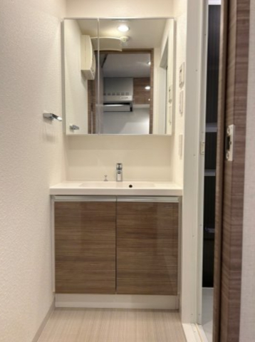 DIPS赤羽北EAST502号室 洗面