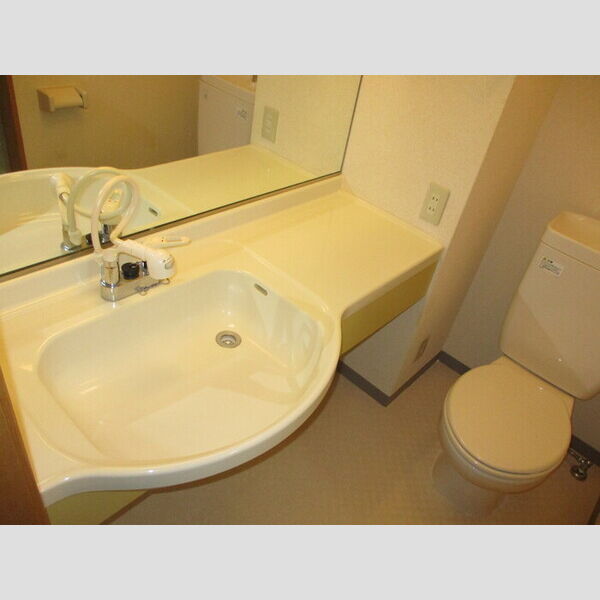 プチ・メゾンK&K201号室 201(洗髪洗面化粧台)