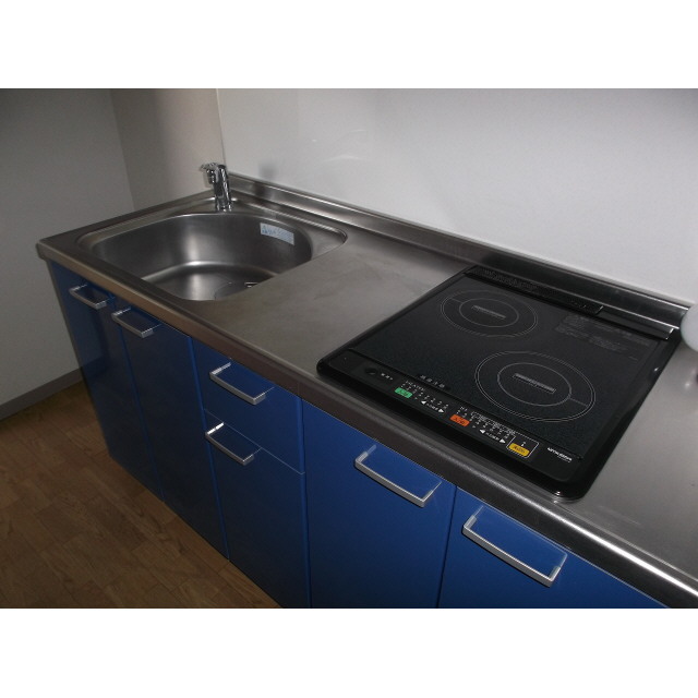 アドヴァンス石雅0205号室 同建物別部屋の参考画像