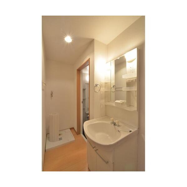 リヴェール市川C棟106号室 洗面