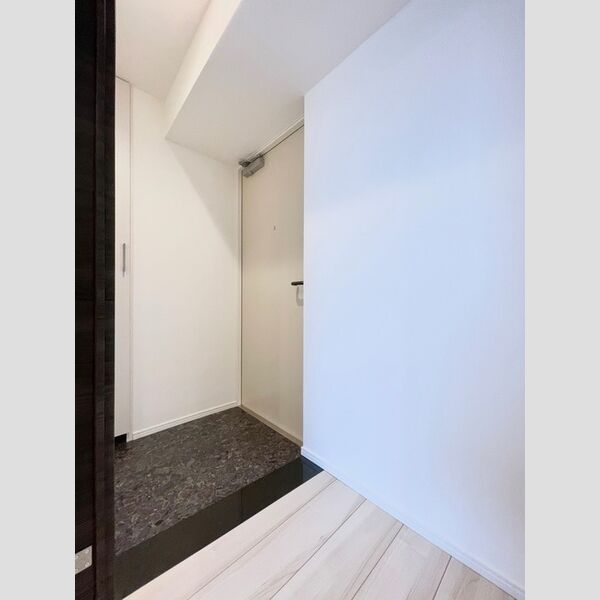 ロイジェント練馬高野台0901号室 玄関