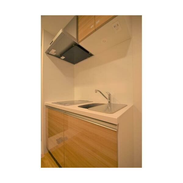 トライム早稲田鶴巻町102号室 キッチン