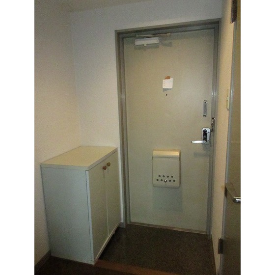 グローイングシティー大和田0307号室 玄関