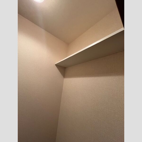 リヴェール上柴203号室 トイレ収納棚