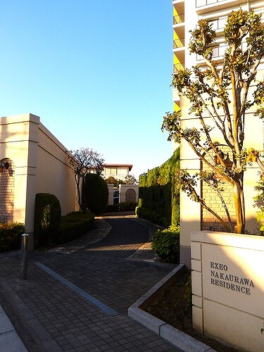 エクシオ中浦和レジデンス エントランスアプローチ　※2025年10月撮影